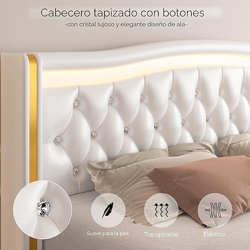 Miniatura 4 de HIFIT Base de cama con plataforma LED inteligente con 4 cajones de almacenamiento, con botones de cristal y cabecera de ala con ribete dorado