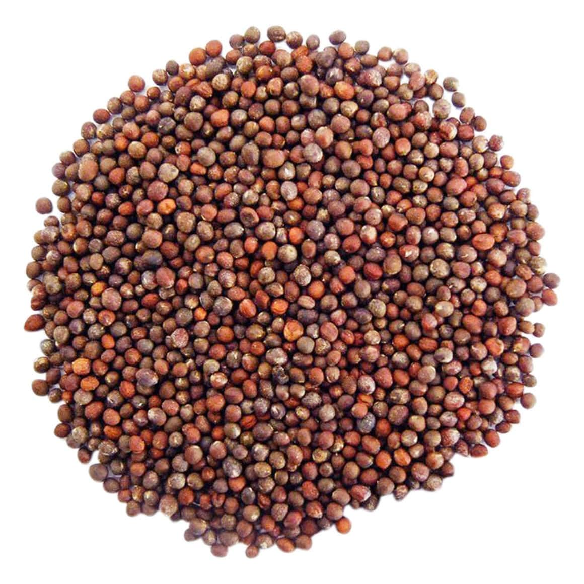 See full amazon price history chart for LIVE GREEN 100% Organic Broccoli F1 Hybrid Seeds (LG-SSED173) LIVE GREEN 100% Organic Broccoli F1 Hybrid Seeds (LG-SSED173) (B07DL8LNCF) Amazon Price History, Amazon Price Tracker