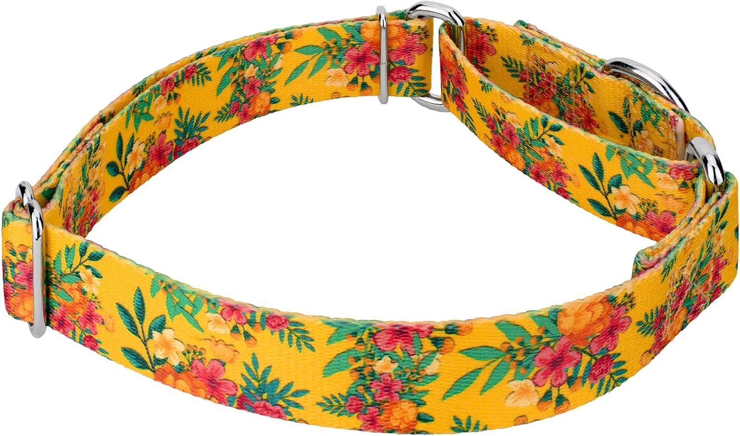 Country Brook Petz - Tropical Floral Martingale Dog Collar and Leash Set - Summer Breeze Collection Featuring Sunny Designs (5/8 Inch, Small)