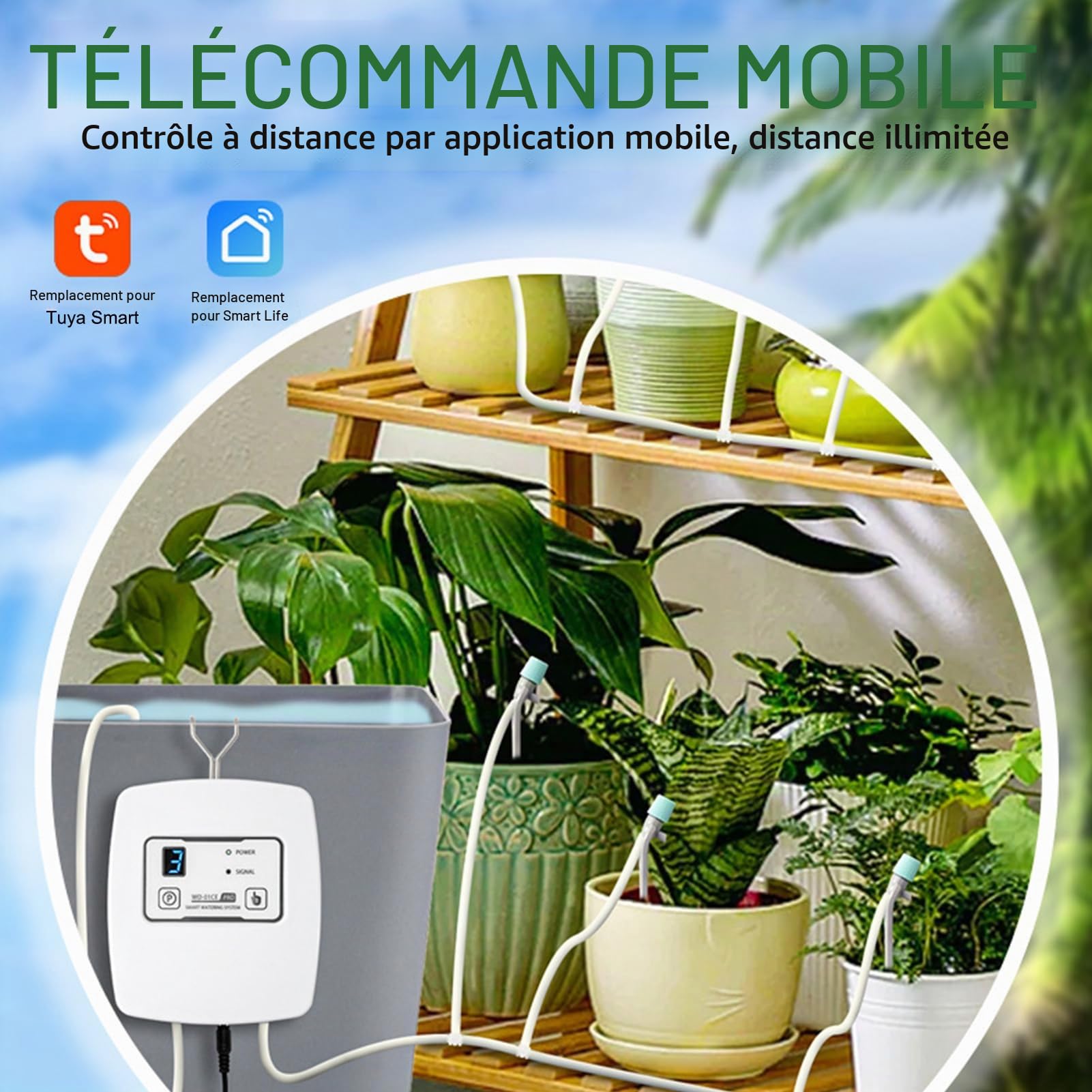 Arrosage Automatique Interieur, Système d'irrigation Intelligent WiFi, Télécommande, Régulation de la Pression d'eau 1-4 Vitesses, Contrôle Intelligent du Temps