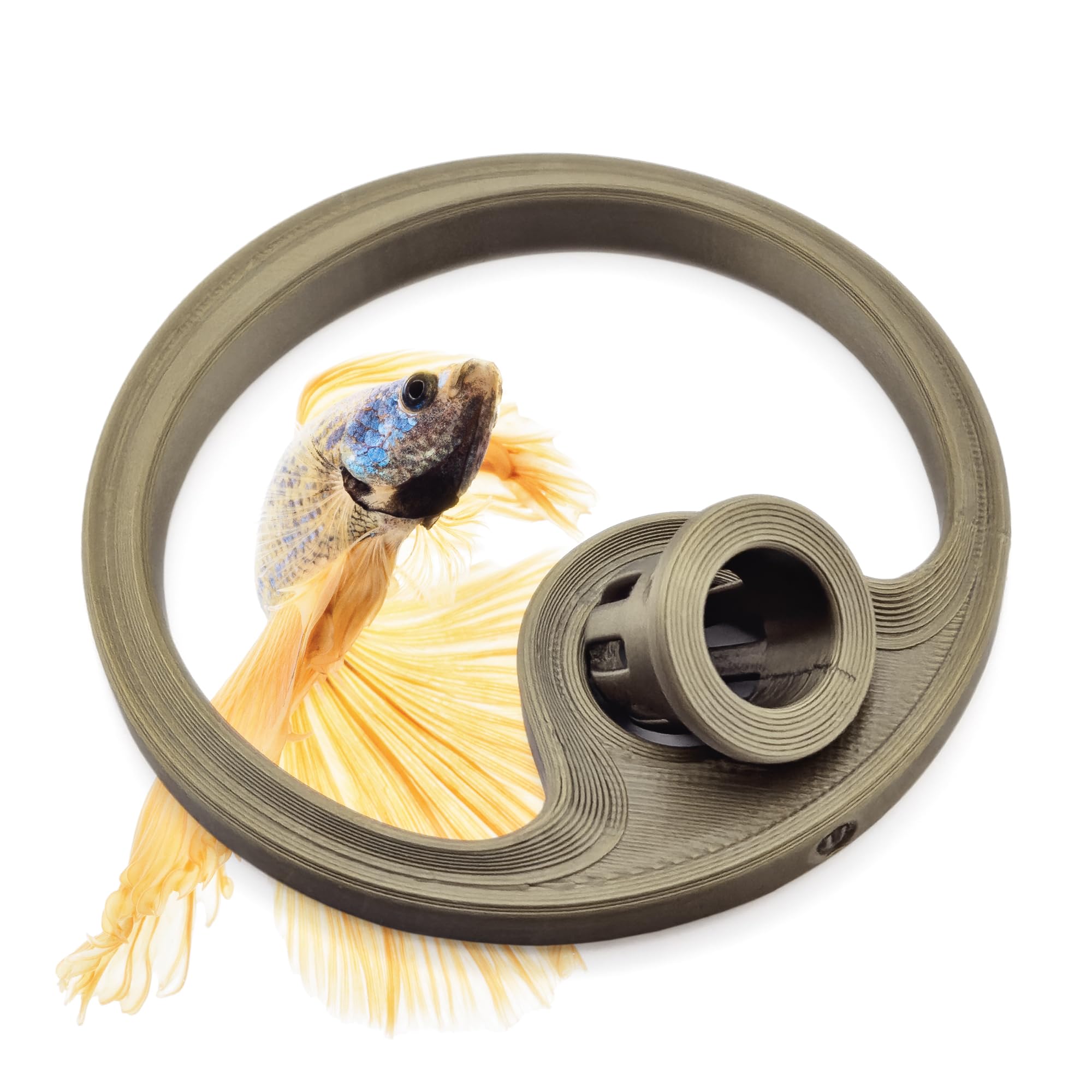 byMazy Betta Fish Feeding Ring | Floating Aquarium Portal with Worm Feeder Cone, Fish Tank Feeding Station (Bronze, XS)