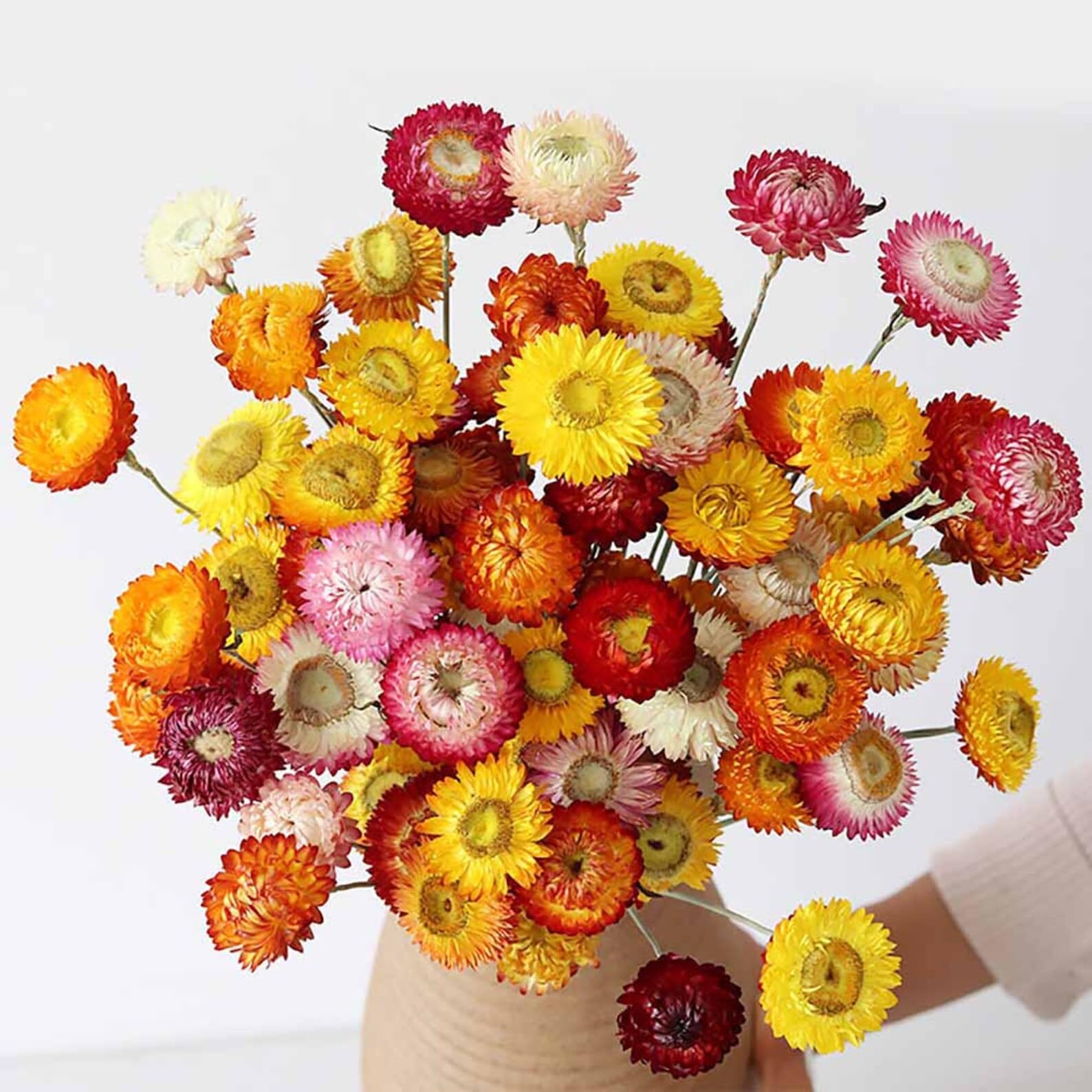 Andekas 30 Pcs Dried Strawflowers Bouquet