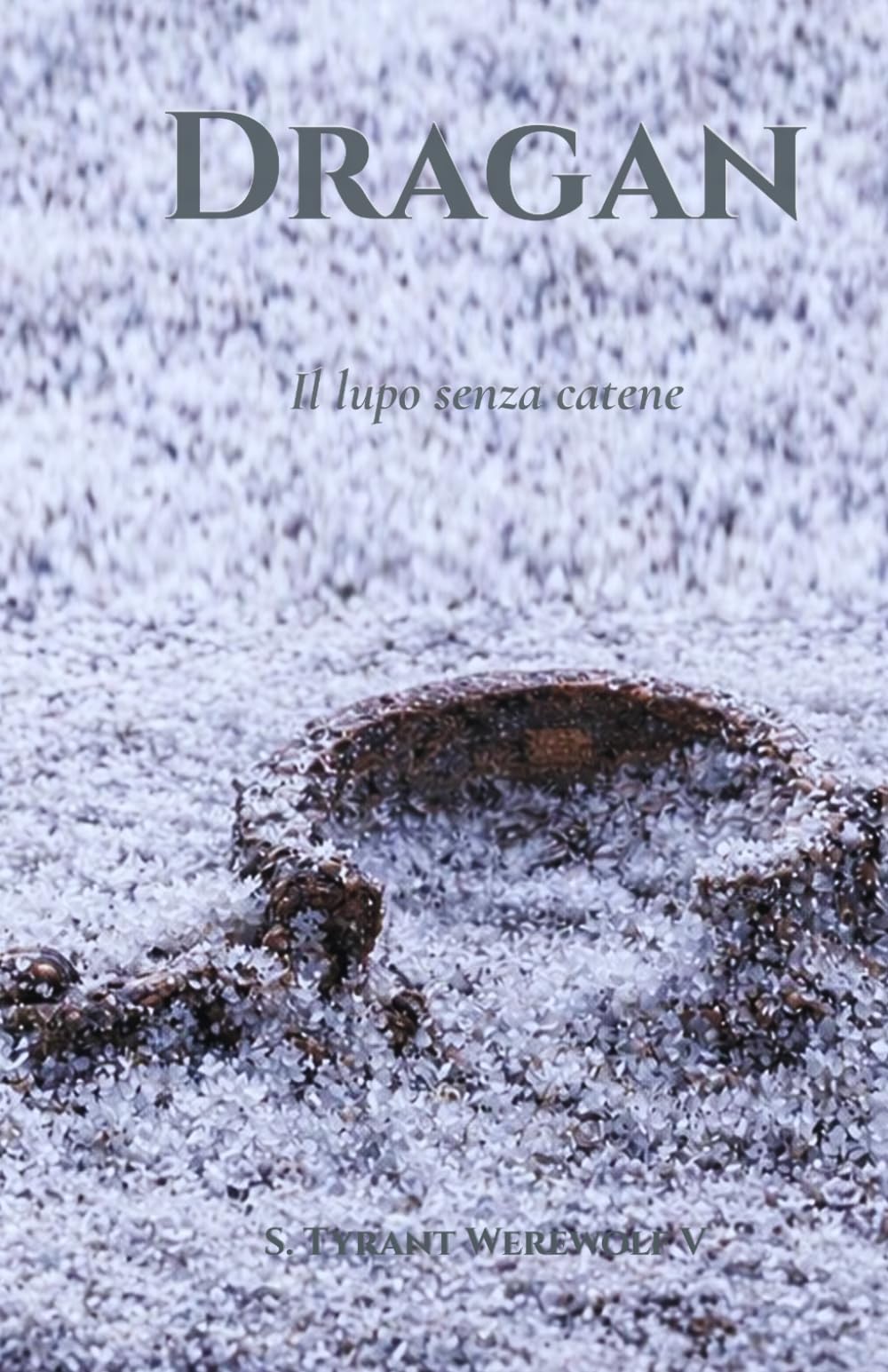Dragan: Il lupo senza catene (Trilogia di Dragan)