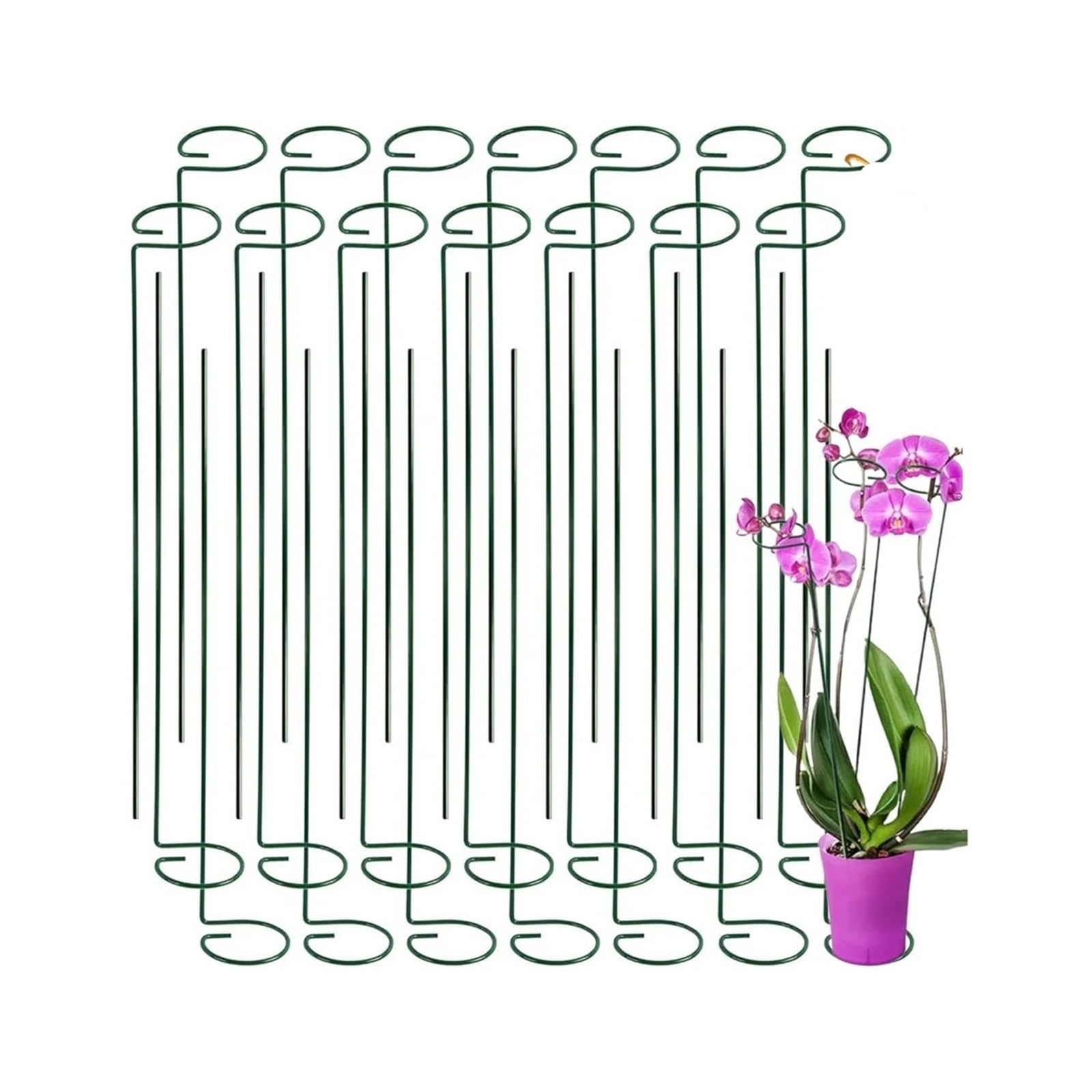Tuteurs Pour Plantes Piquets de support for plantes de jardin vert