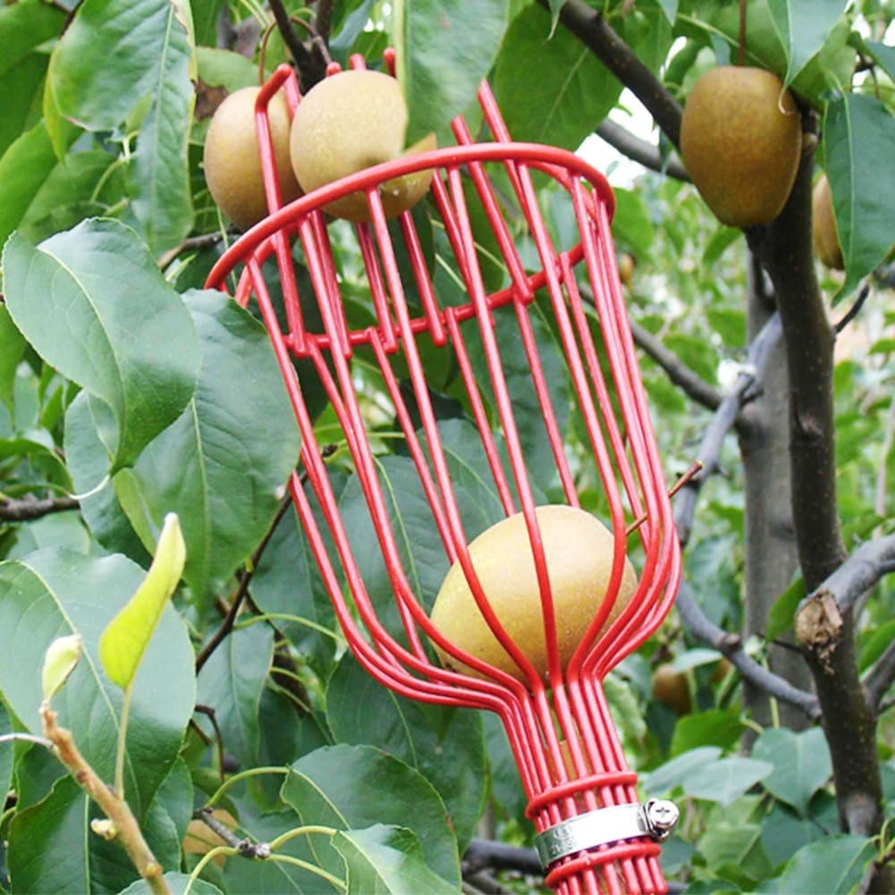 Fruit Picker, Lightweight Telescoping Fruit Picking Tool, 5.7-13 Feet, with Deep Basket for Apples Pear Peach Harvesting