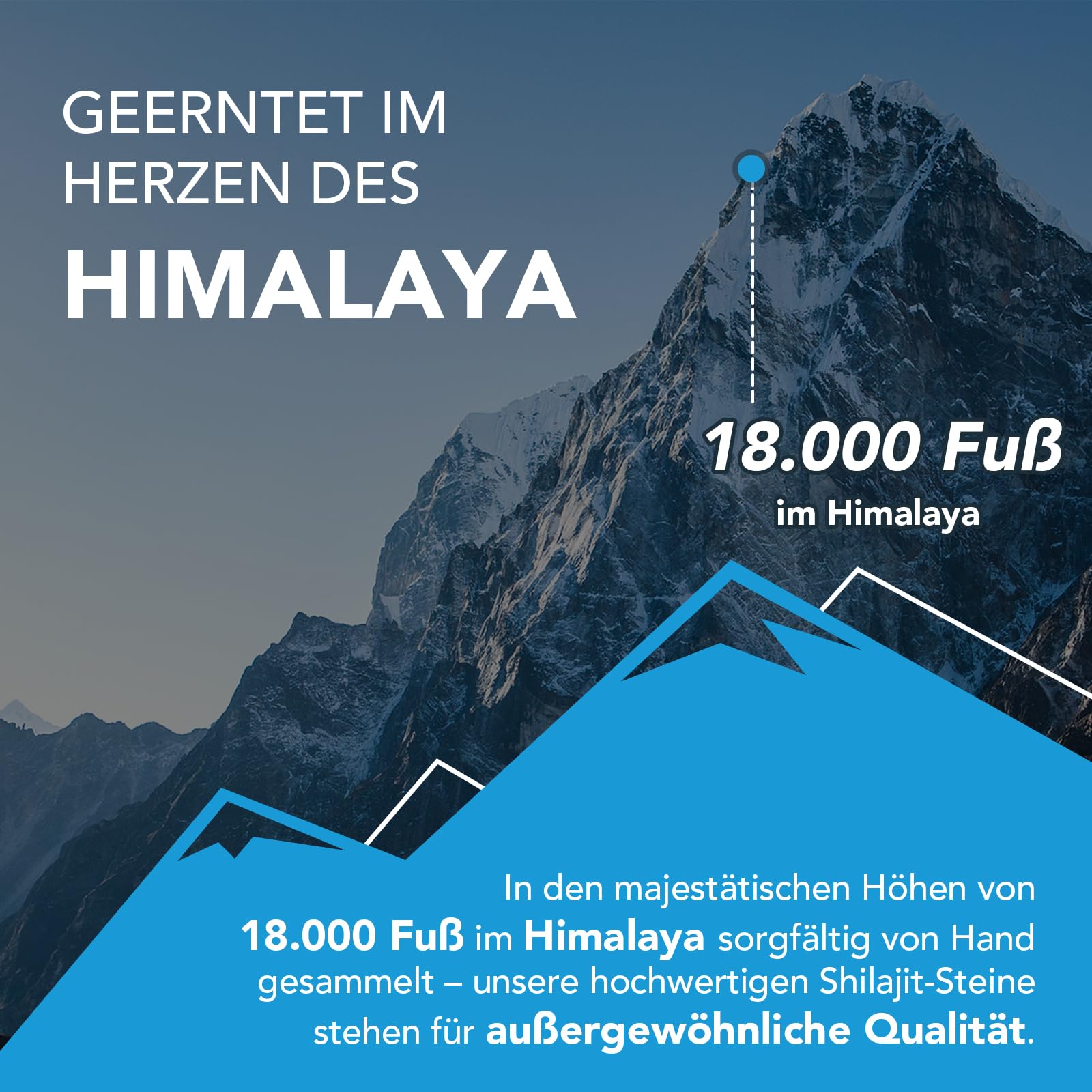 Resina Shilajit – 100% pura original himalaya himalaya calidad de grado oro, alto contenido de ácido fúlvico, con minerales y oligoelementos, sin aditivos (paquete de 2)