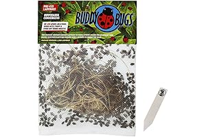 1500 Pre-Fed Live Ladybugs for Efficient Aphid Control