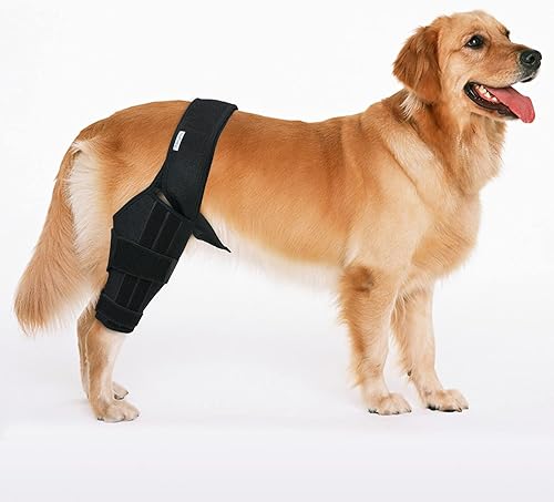 Rodillera para perro para desgarro de ACL en la pierna trasera, soporte de pierna canina para lesiones del ligamento cruzado, osteoartritis o