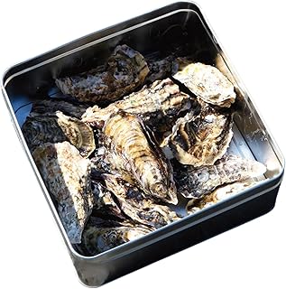 濱野商店(hamanoshouten) 牡蠣 1.5kg カンカン焼きセット かき 冷凍 加熱用 殻付き 魚介類 海鮮 大阪湾