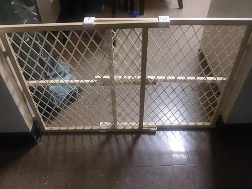 Toddleroo by North States — alternate color or size variant on Amazon