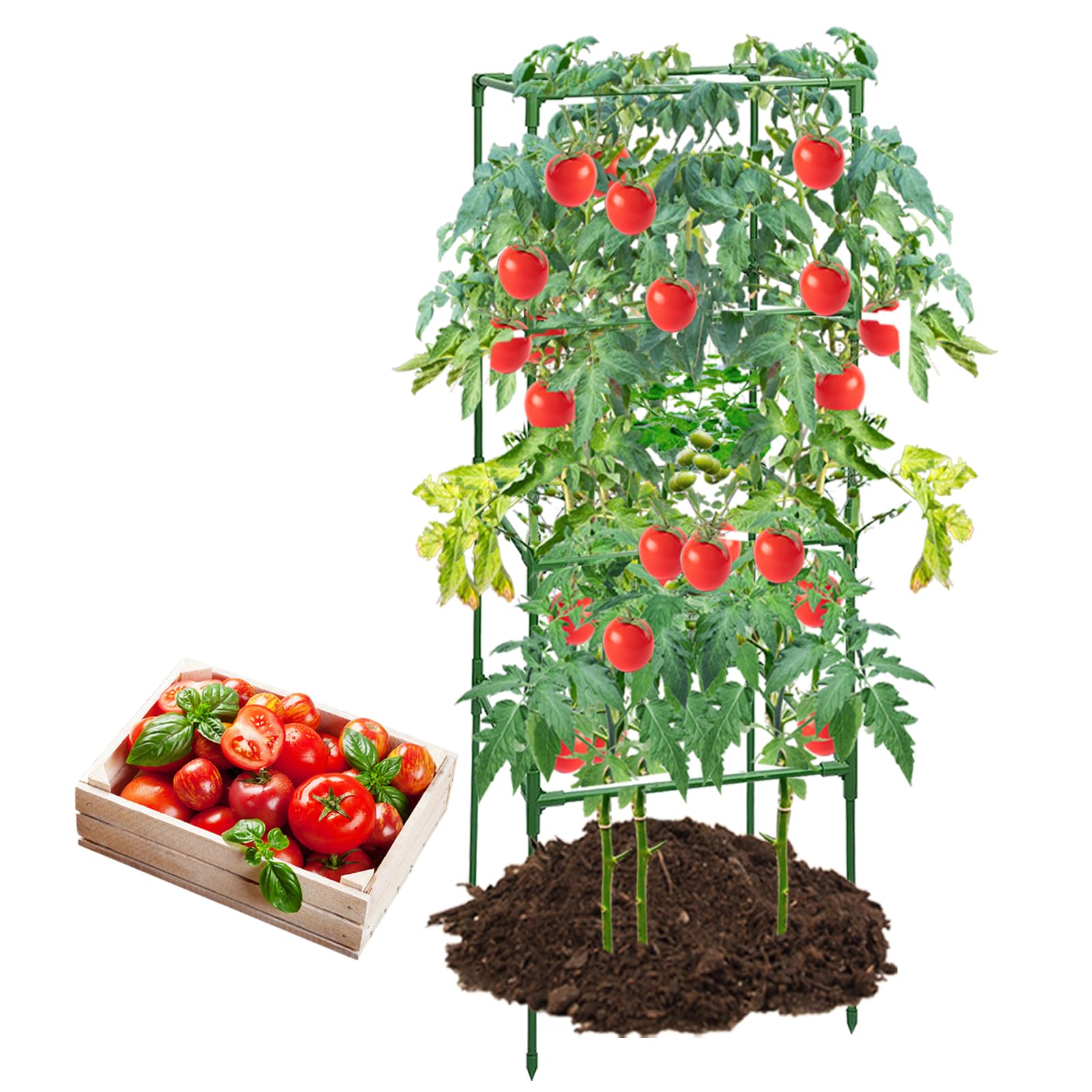 3 Tomatenkäfige Aus Stahl – Quadratisch, Verstellbar, 144x39 Cm, Grün, Für Tomaten & Kletterpflanzen