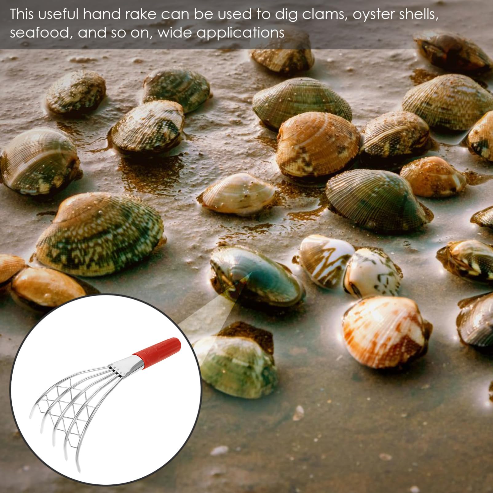 Toyvian 4 Stück Claw Rake Muschelrechen Ergonomischer Handgriff Strandwerkzeug für Muschelsuche und Gartenarbeit Robuste und Langlebige Konstruktion