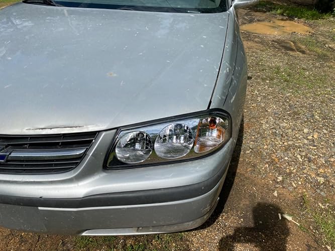 Review Image by 01 impala
