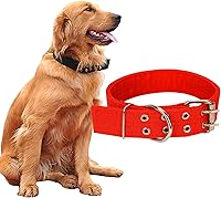 Vista 9 de Love Dream Collar militar ajustable para perro, collares tácticos de nailon con anillo en D de metal y hebilla para perros grandes y extragrandes