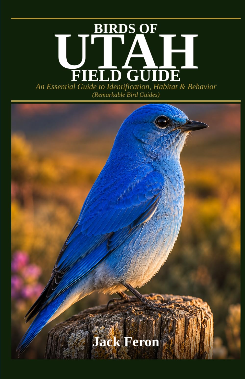BIRDS OF UTAH FIELD GUIDE: An Essential Guide to Identification, Habitat & Behavior (Remarkable Bird Guides)