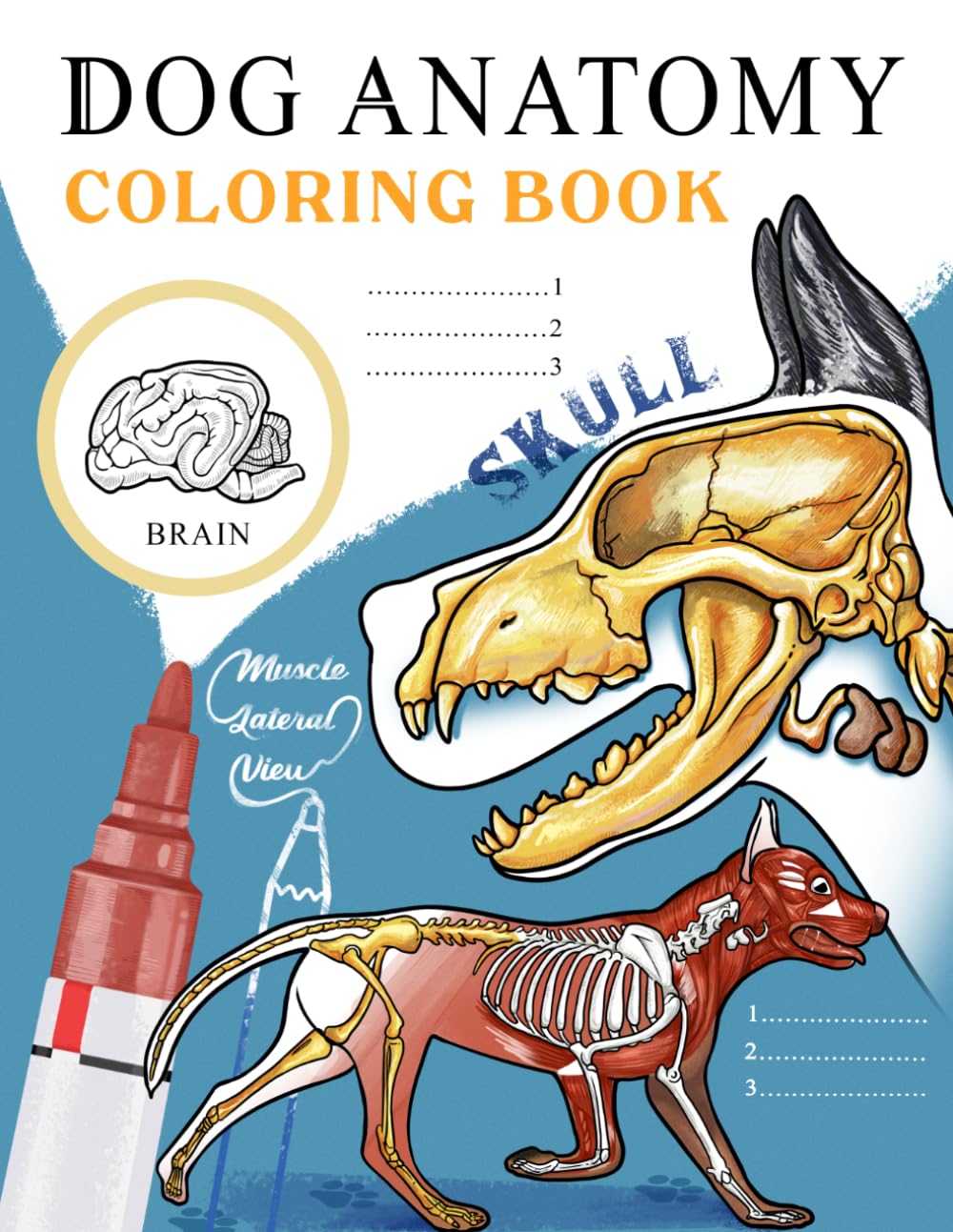 Dog Anatomy: Coloring Book for Beginners, Veterinary Students, and Dog Lovers, Workbook of Canine Major Systems to Color and Learn (Anatomy for Beginners)