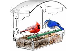 Clear Window Bird Feeder for Bird Watching and Enjoyment