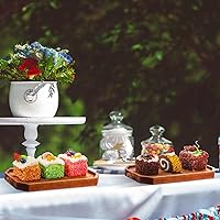 Vista 6 de Dandat Paquete de 12 platos de madera de acacia a granel, bandeja rústica de 10 x 5 pulgadas, bandeja rectangular de charcutería, plato de queso