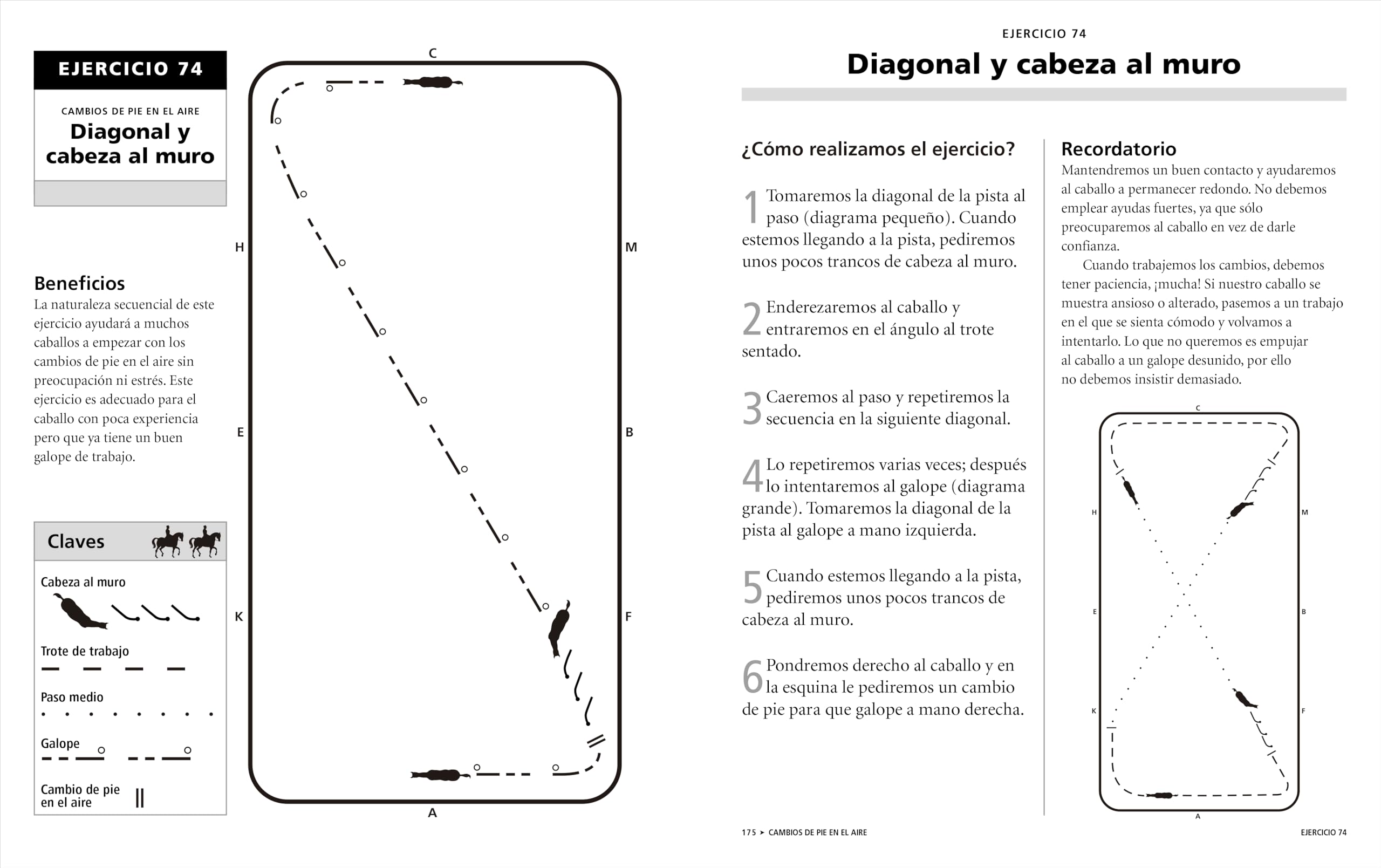 101 Ejercicios de Doma Clasica