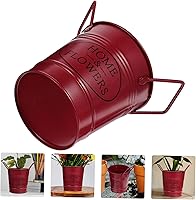 Vista 3 de HANABASS Maceta de metal para suculentas, jarrón de agua de metal, para arreglo floral, cubo de metal, hierro, florero, rústico, galvanizado, maceta