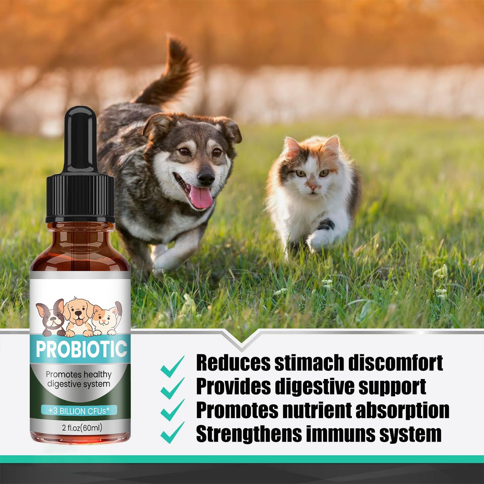 Antibiotiques pour Chats,Soulagement De Constipation pour Chats,Soulagement en Douceur De Constipation chez Les,Probiotiques Chien Chat 60ML,Dog Probiotics,Probiotiques Chien Démangeaisons