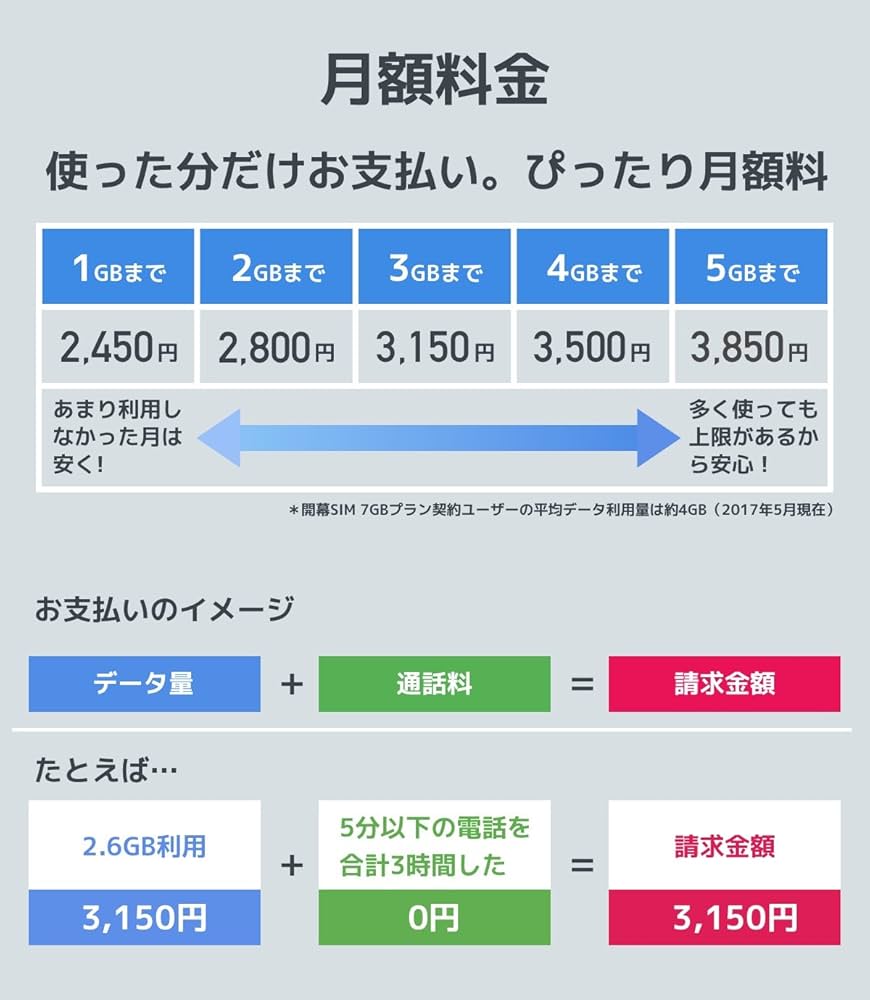 Amazon.co.jp: 日本通信 b-mobile S スマホ電話SIM