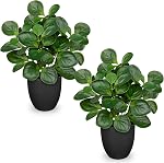 14.5" Artificial Plants Indoor Home Decor, Fake Potted Silk Plants for Shelves Living Room Decorative, Small Artificial Office Desk Plants in Pots, Faux Peperomia Hope Tropical House Plant