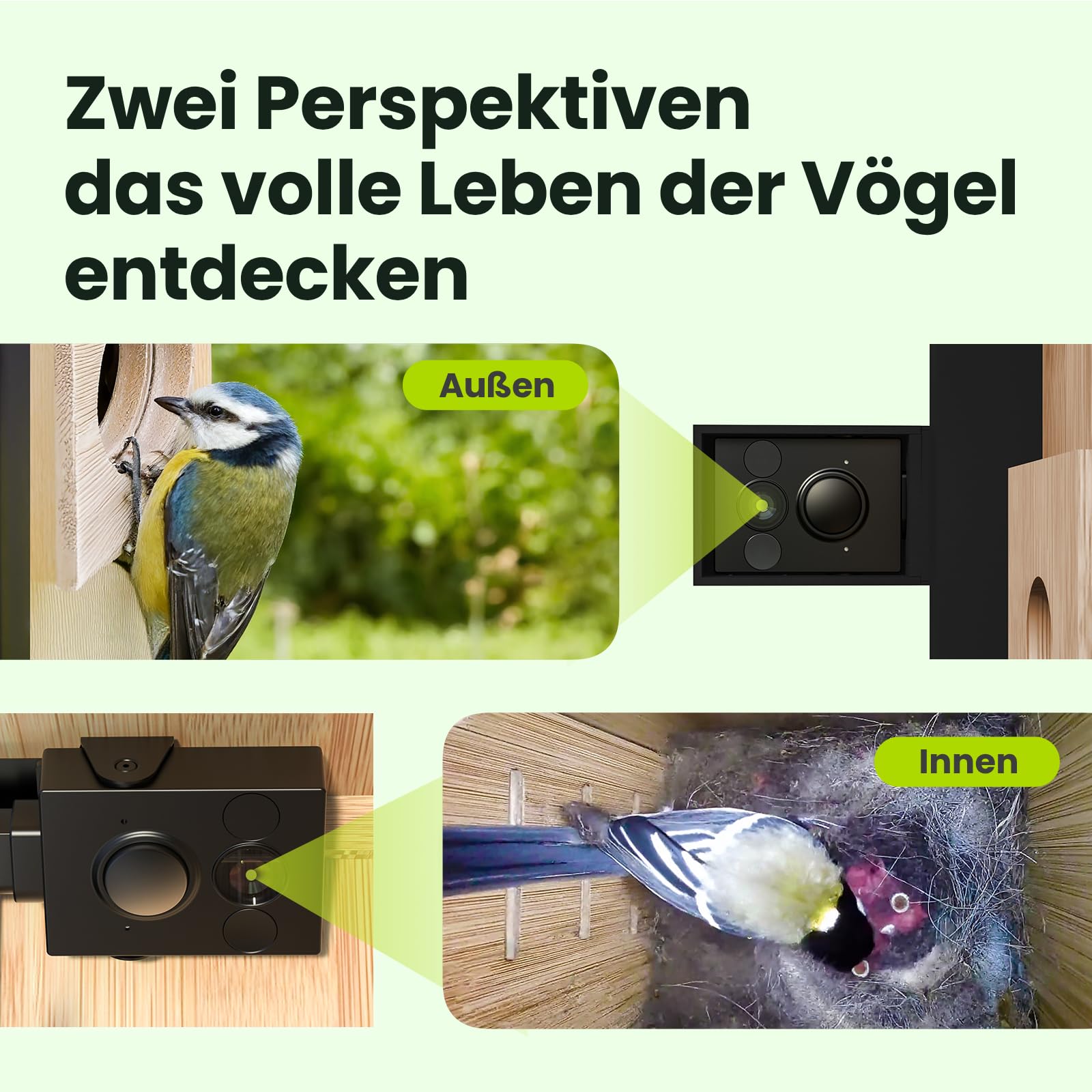 Birdfy Smart Vogelhaus mit Doppelkamera für Live Vogelbeobachtung, 1080P Bambus Nistkasten mit Kamera, Nachtsicht, KI-Verhaltensanalyse mit Benachrichtigungen & automatischen Aufnahmen