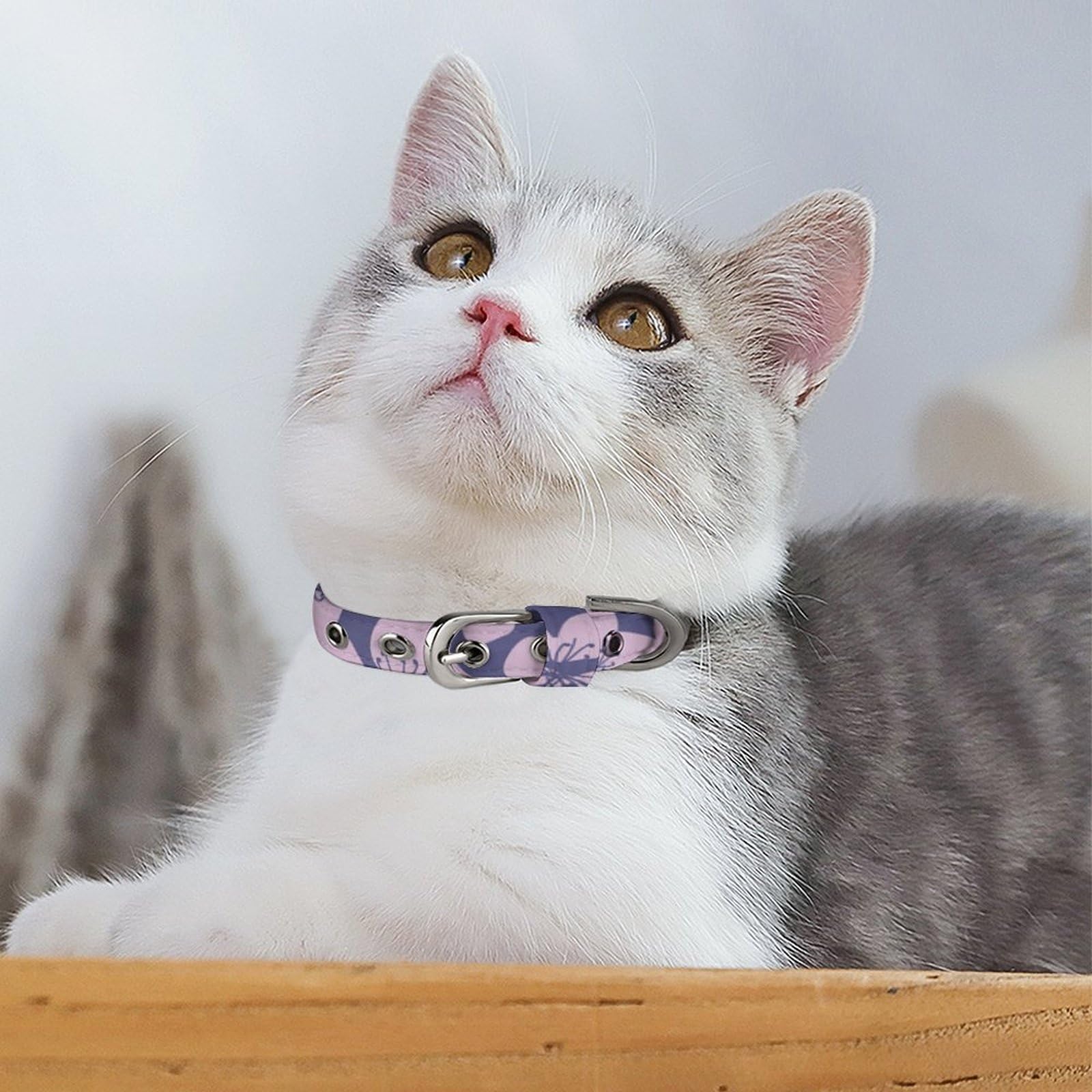 Amazon.co.jp: 犬 猫 ペット 首輪 花柄 桜 5穴 犬の首輪 調節可能