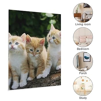 絵画インテリア 油絵 F4-090718 可愛い子猫と女の子 絵画インテリア 油絵 F4-090718 可愛い子猫と女の子