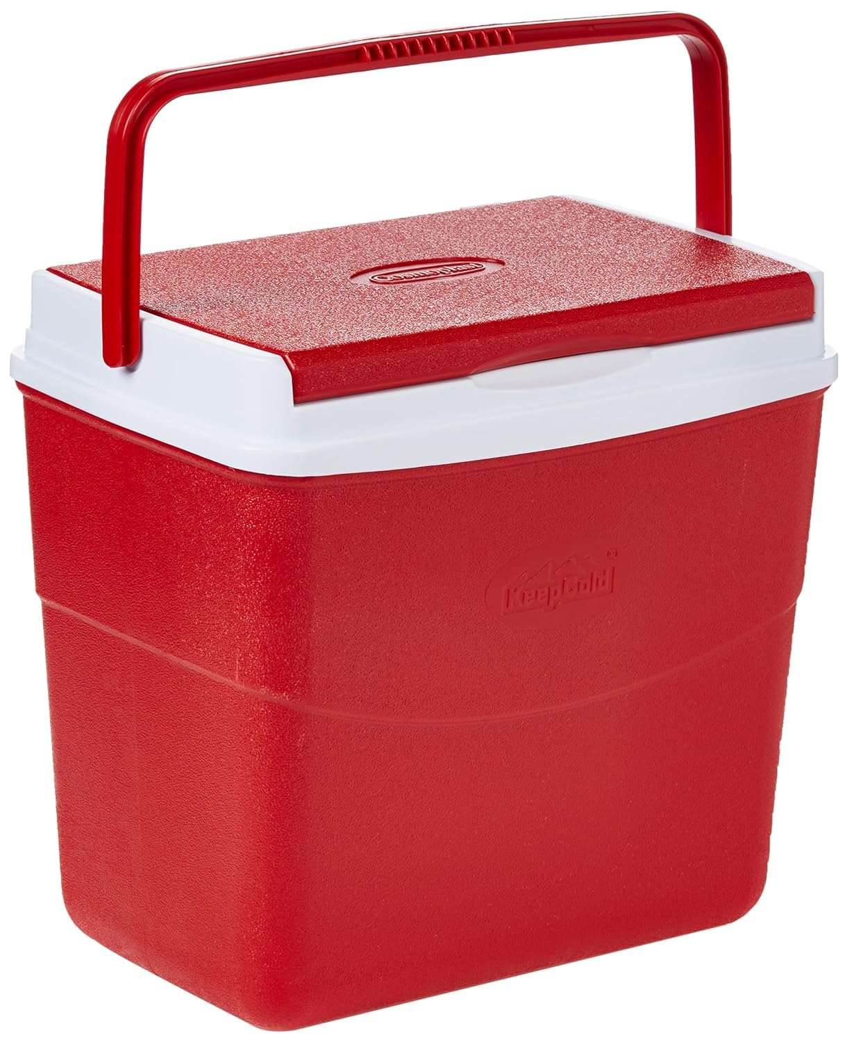 Cosmoplast Keep Cold Plastic Picnic Cooler Icebox Lunchbox