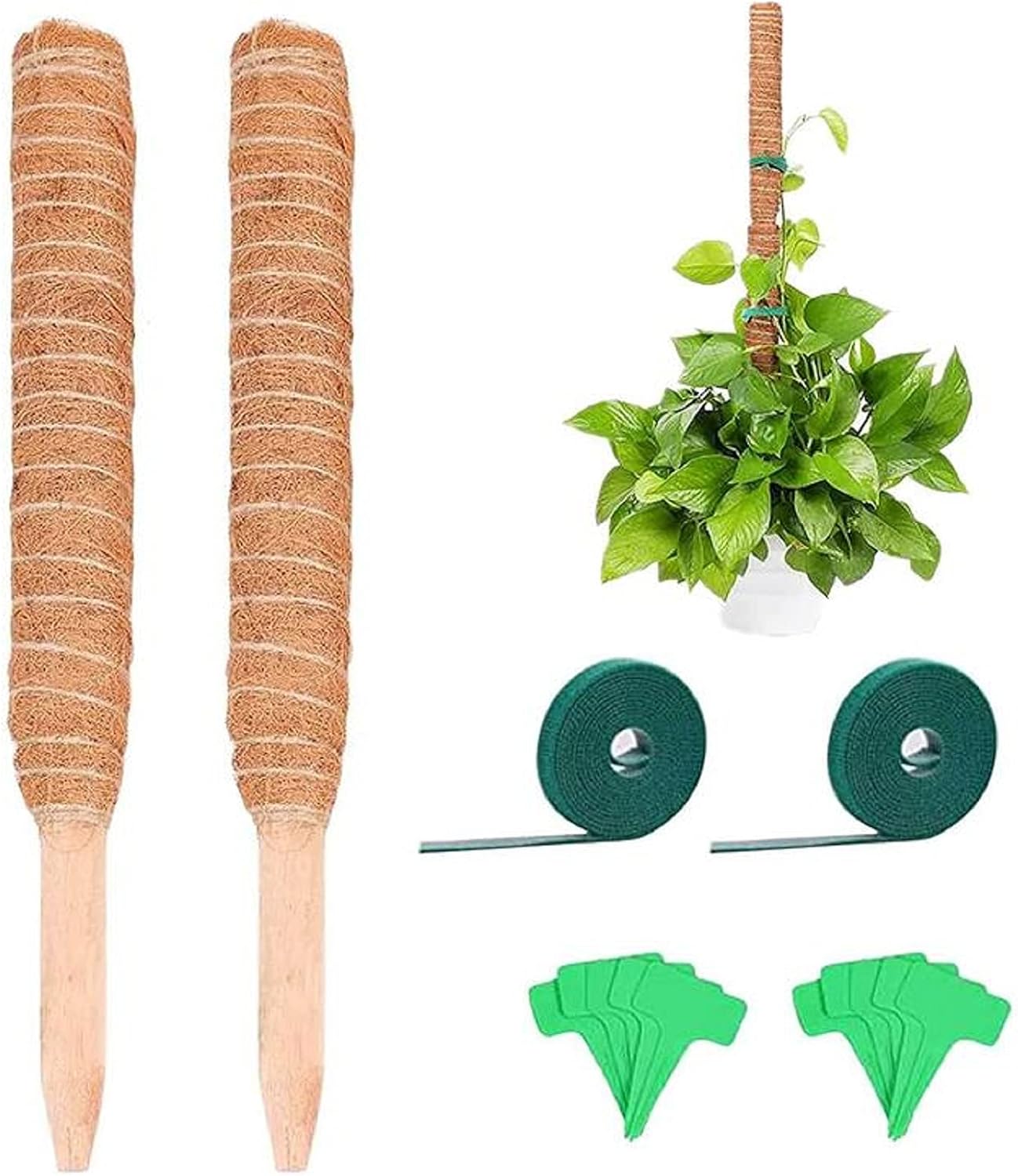 Grineka園芸 支柱 おしゃれ 観葉植物 モンステラ つる性植物 サポート 天然 ココナッツ ジョイント式 30 2本セット 園芸支柱パーツ 植物サポート 園芸支柱 ココナッツ支柱 つる植物 植物支柱 観葉支柱 ココナッツパームスティック 環境保護 コイアトーテムポール つる