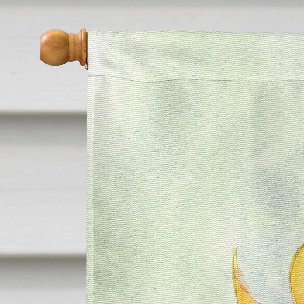 Caroline's Treasures RDR2001CHF Flower - Sunflower House Flag Large Porch Sleeve Pole Decorative Outside Yard Banner Artwork Wall Hanging, Polyester, House Size, Multicolor