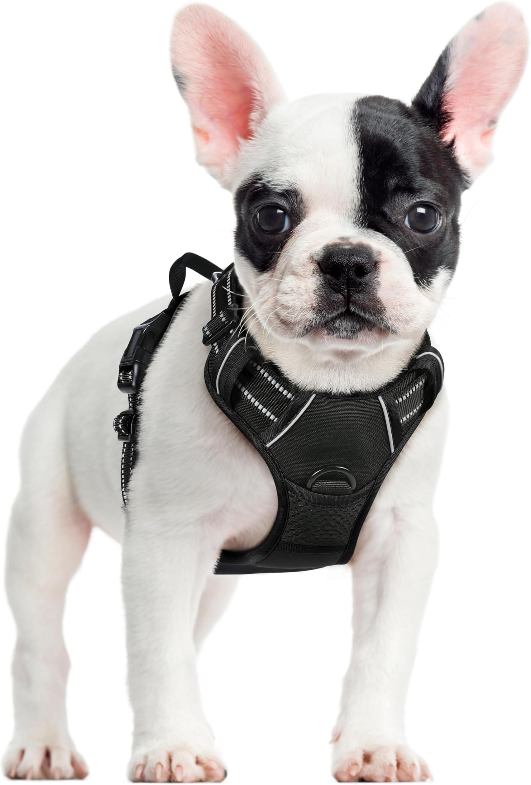 rabbitgoo Dog Harness Small Dog No Pull Pet Harness with 2 Leash Clips, Adjustable Soft Padded Pet Vest Harness, Reflective No-Choke with Easy Control Handle for Training or Walking, Black, S