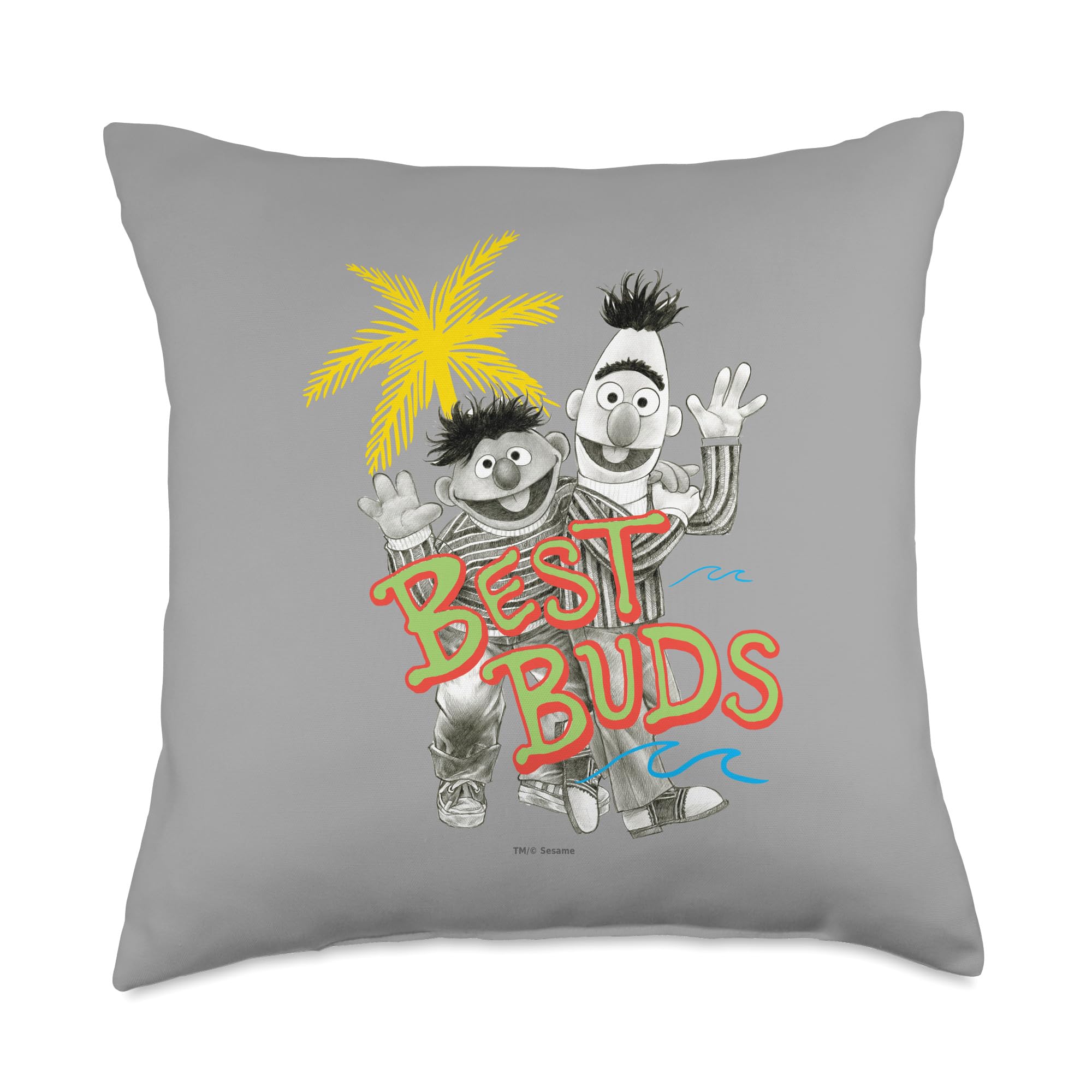 Coussin Sesame Street cadeau idéal Bert et Ernie pour célébrer une vraie amitié