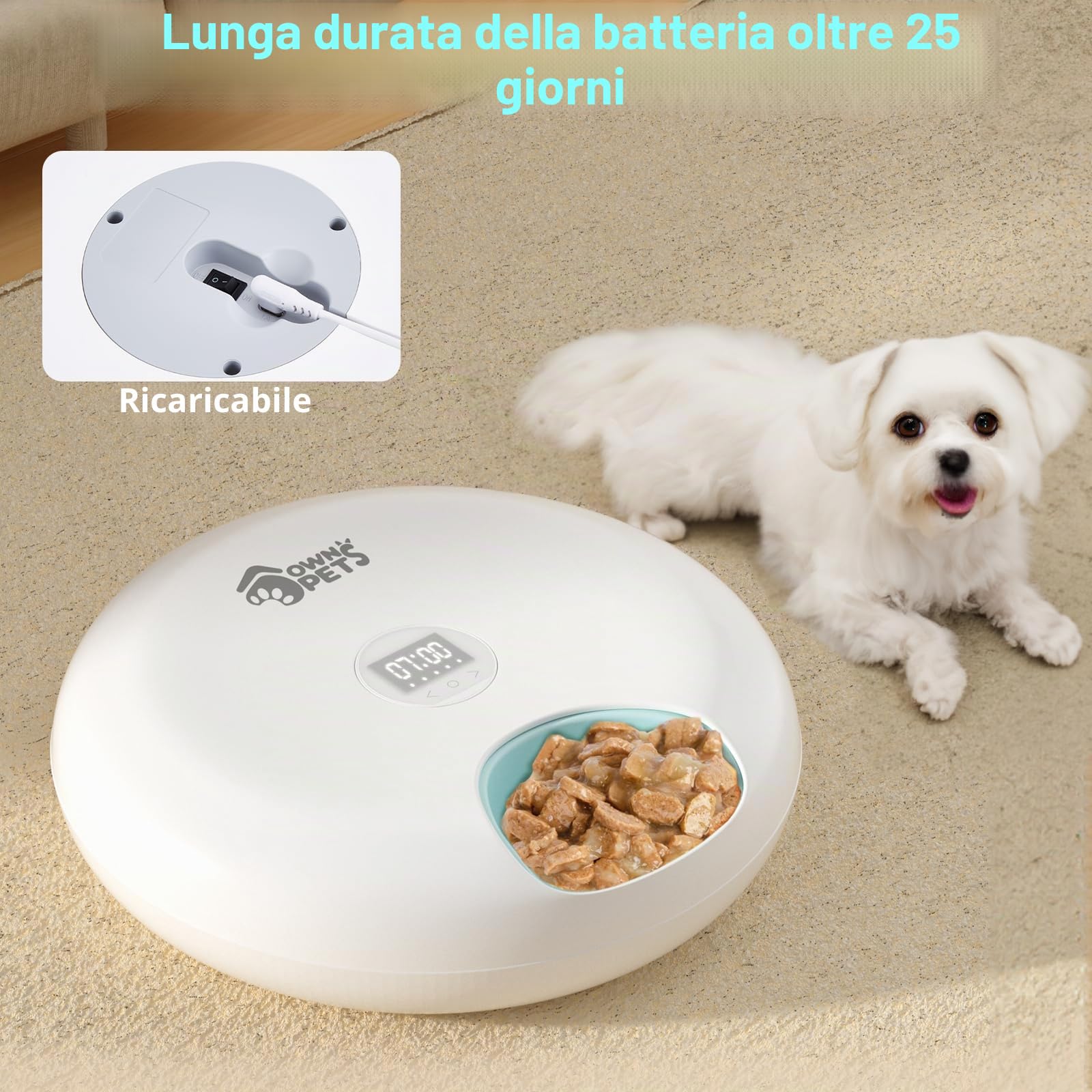 Ownpets Mangiatoia automatica per cani e gatti, due pacchetti di ghiaccio per mantenere il cibo fresco, timer programmabile, 6 pasti, alimentazione USB, per cibo secco e umido, bianco