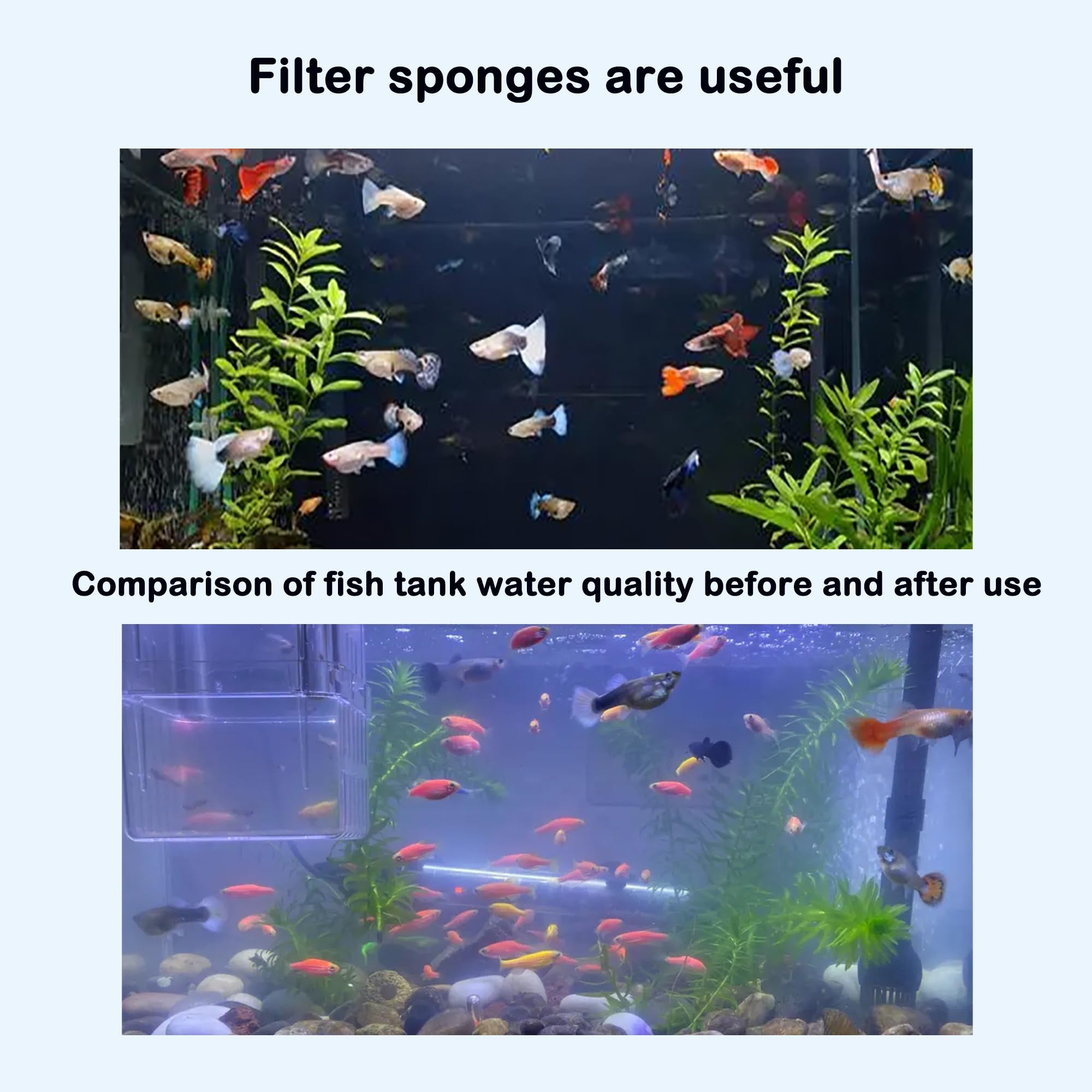 Delapan Lot de 6 filtres en mousse pour systèmes de filtration Aqua Clear 110 500