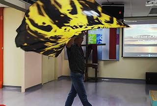Flame Multiplied - Printed Habotai Silk Quill Wing Flags Wxl-quill