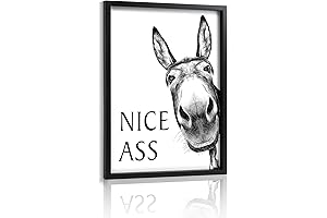 Funny Bathroom Sign for Wall Decor, Donkey in Bathroom Wall Art Framed...