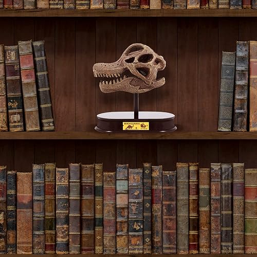 Miniatura 6 de ArtCreativity Kit de excavación de dinosaurios para niños, juego de excavación de cráneo de braquiosaurio con herramientas de excavación de fósiles