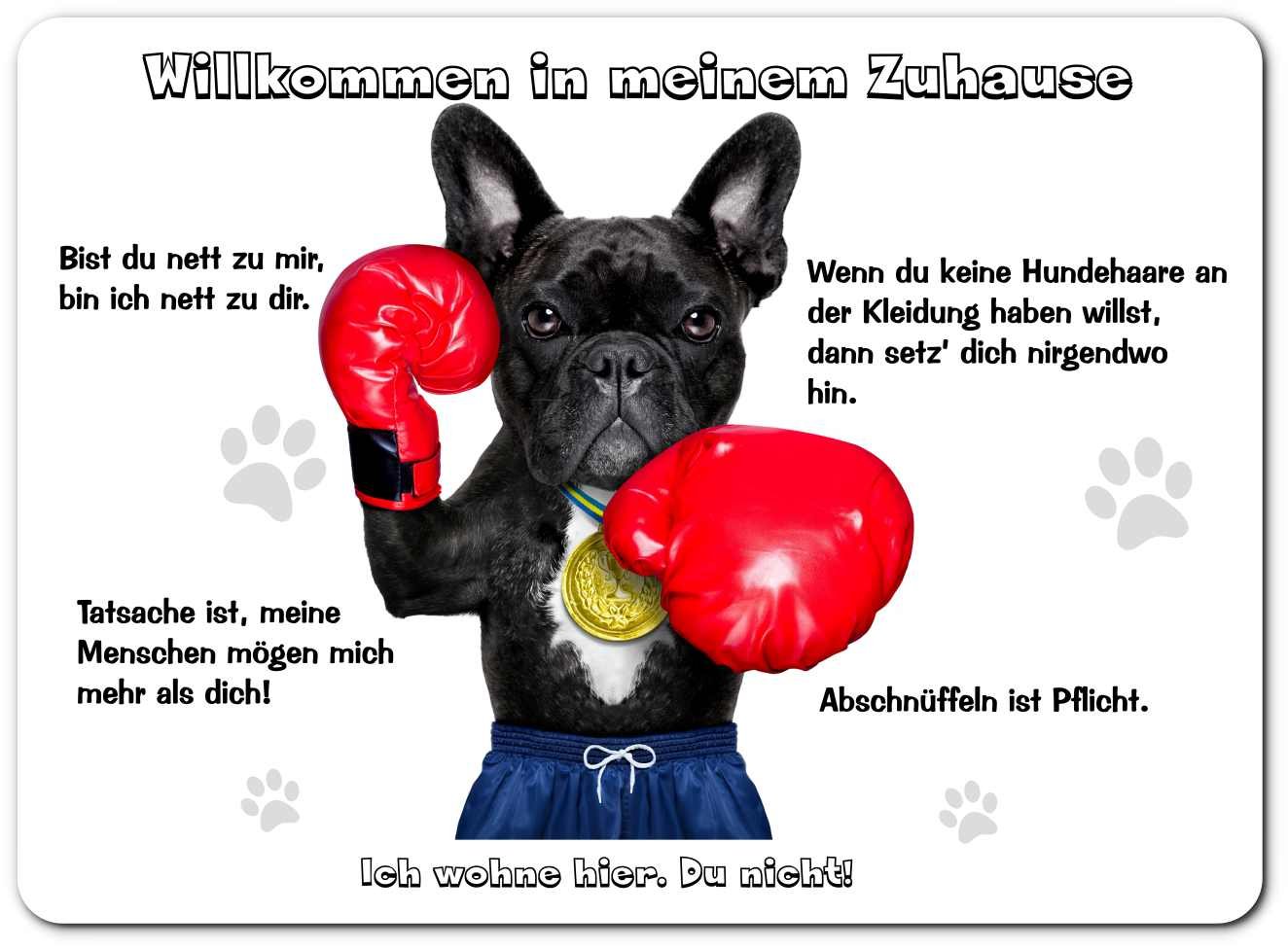 Retro Blechschild Französische Bulldogge – 28x12 Cm, Witziger Spruch, Geschenkidee Für Hundefreunde