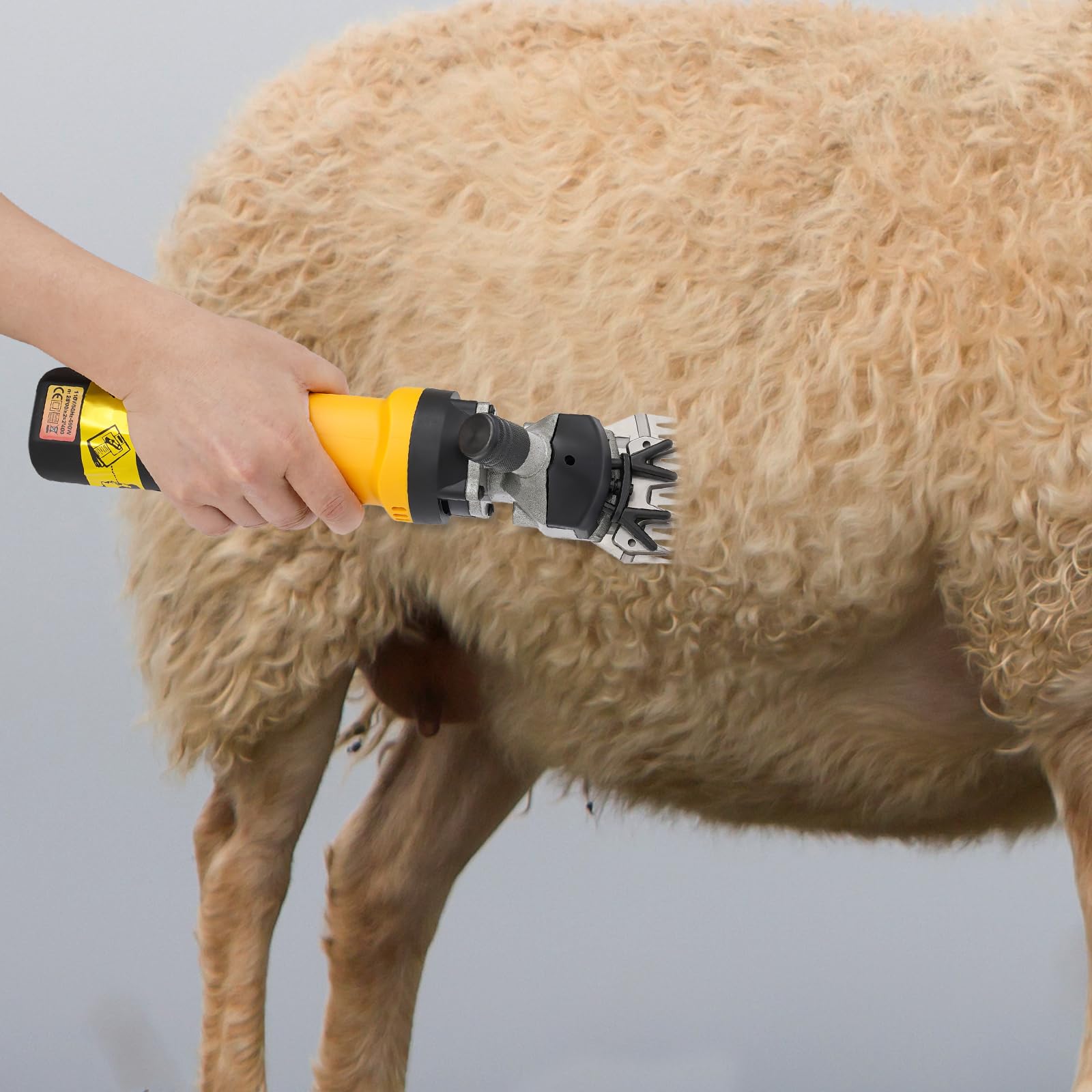 Cesoia elettrica per pecore, 690 W, 2800 giri/min, con spatola per capelli e spazzola per la pulizia, 6 velocità regolabili, tosatrice per cavalli, alpaca e capre