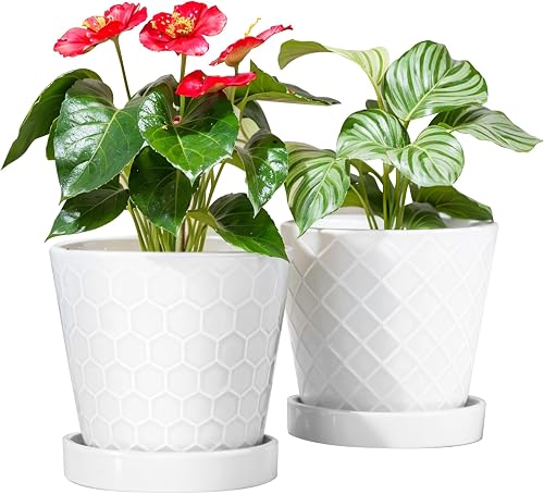 BUYMAX 6 Inch Plant Pot Ceramic Flower Pots Set of 2 with Drainage Hole | Includes Ceramic Trays | Clean White Finish | Ideal For Desktop and Windowsill Spaces | Great Gift Choice for Plant Lovers