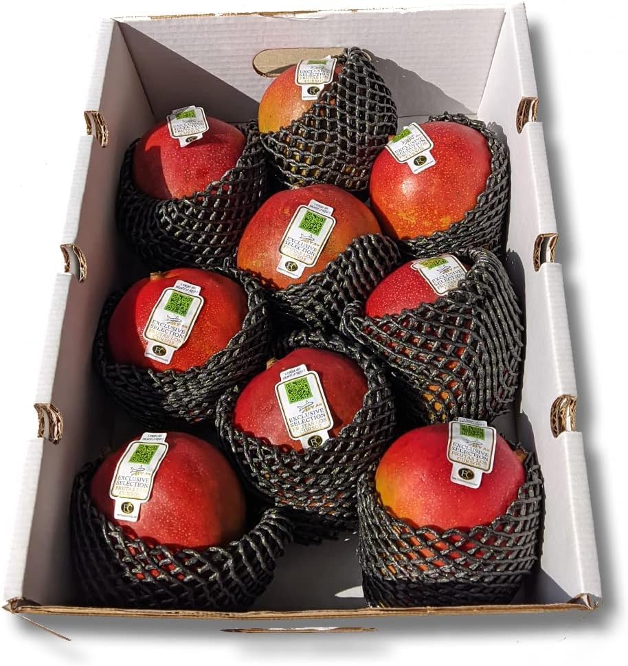Mango fruta Pack 6 kg - Mangos de avión. Importación. Variedad KE...