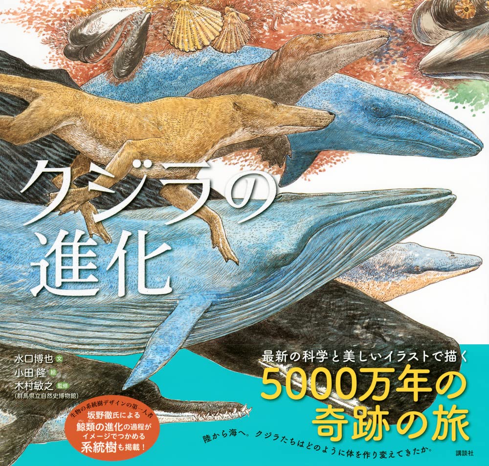 クジラの進化 講談社の創作絵本 水口 博也 小田 隆 木村 敏之 本 通販 Amazon クジラの進化 講談社の創作絵本 水口 博也 小田 隆 木村 敏之 本 通販 Amazon