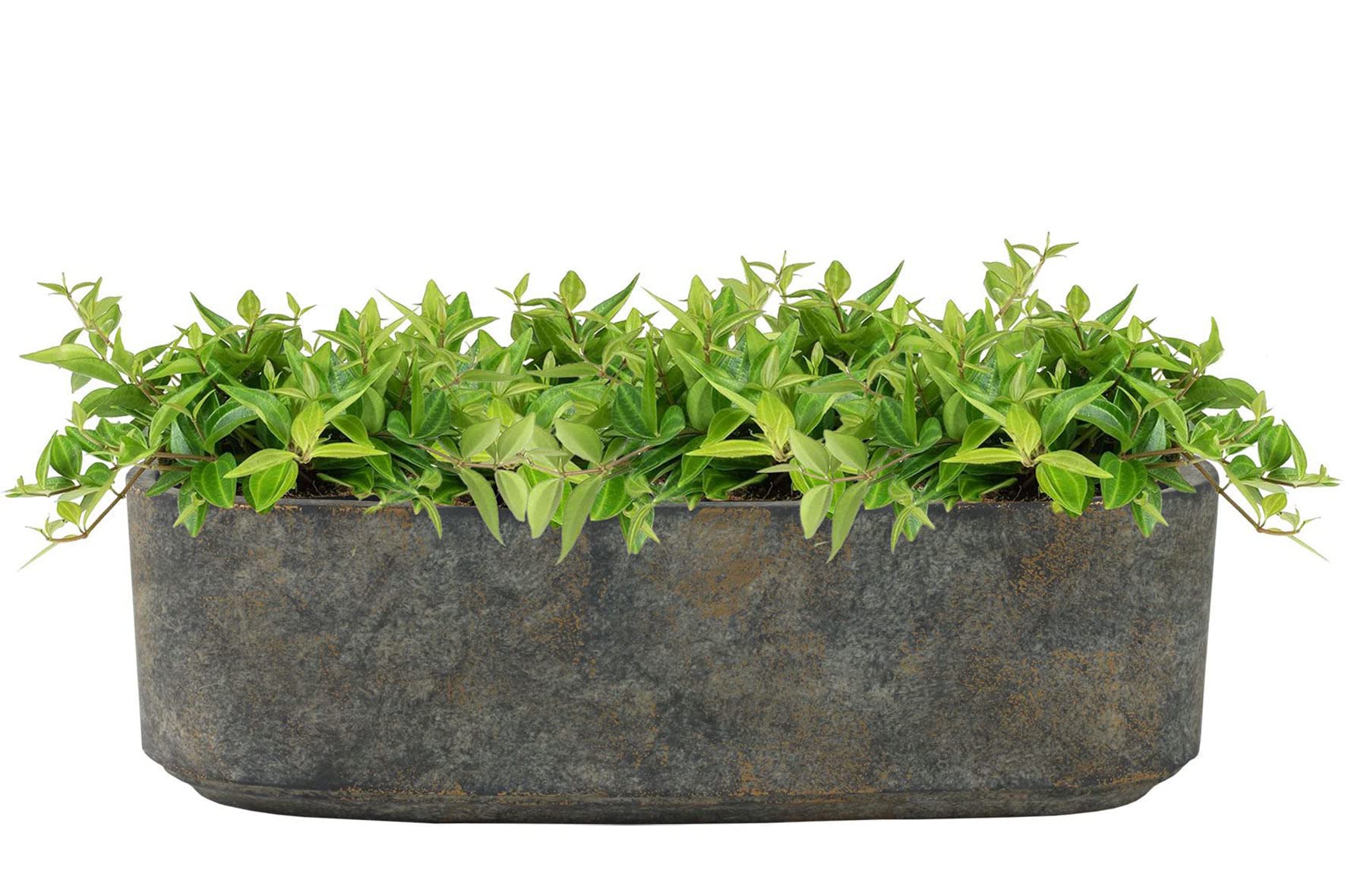 Ivyline Tivoli Trio Planter in Earth - UV Stable, Waterproof & Lightweight - Durable Stylish Decorative Indoor Flower Houseplant Pot - H10cm x D32cm