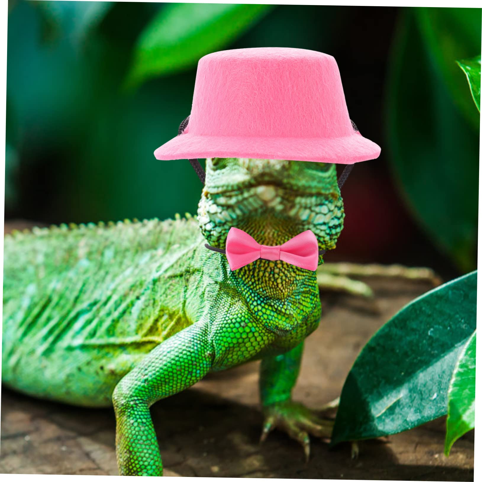 Beaupretty 5juegos Correa y Arnés Ajustable para Reptiles Gorra y Pajarita Kit Completo para Caminar Lagartos Al Aire Diseño Creativo para Mascotas
