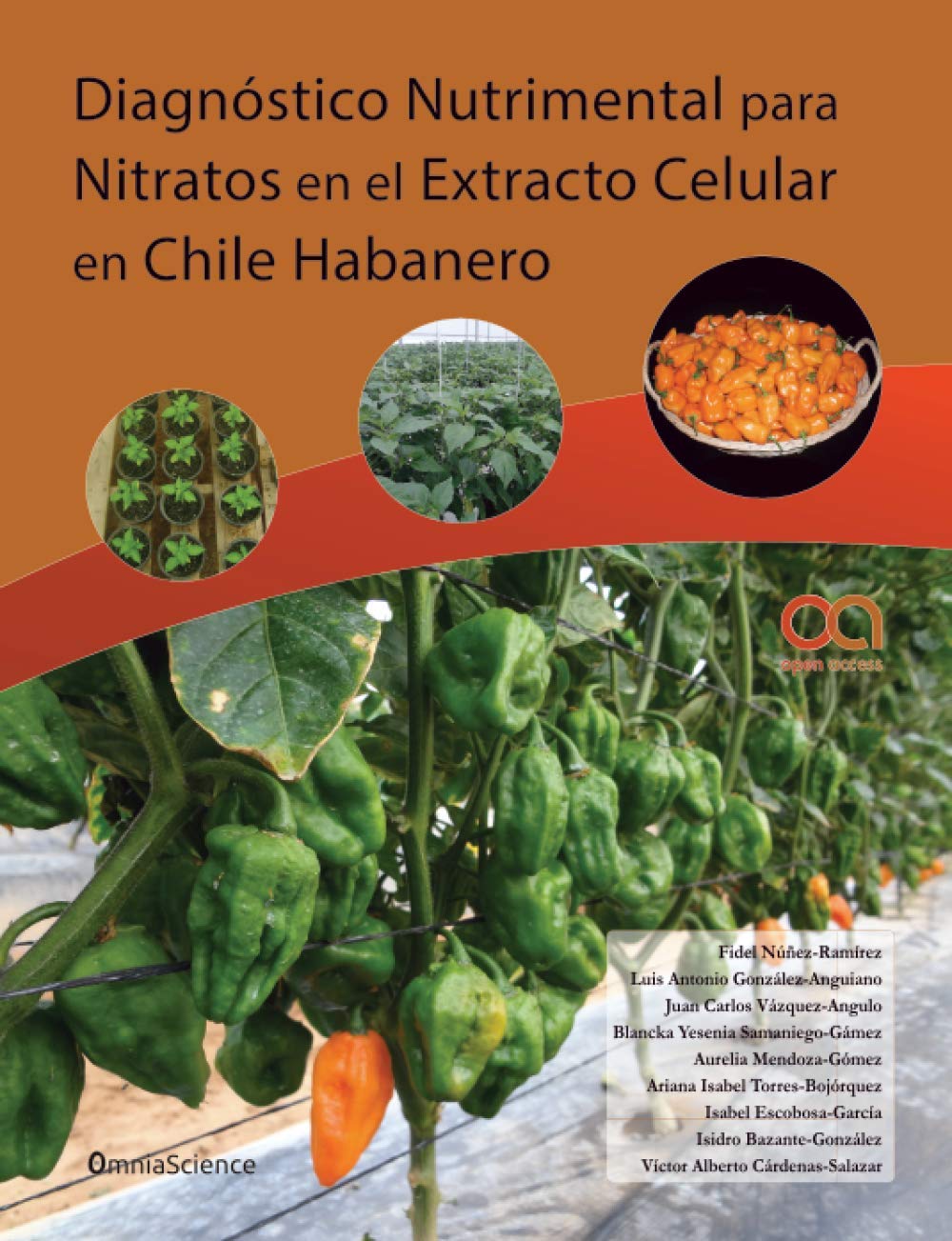 Diagnóstico nutrimental para nitratos en el extracto celular en Chile Habanero