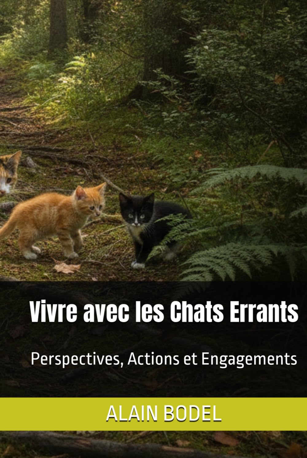 Vivre avec les Chats Errants: Perspectives, Actions et Engagements