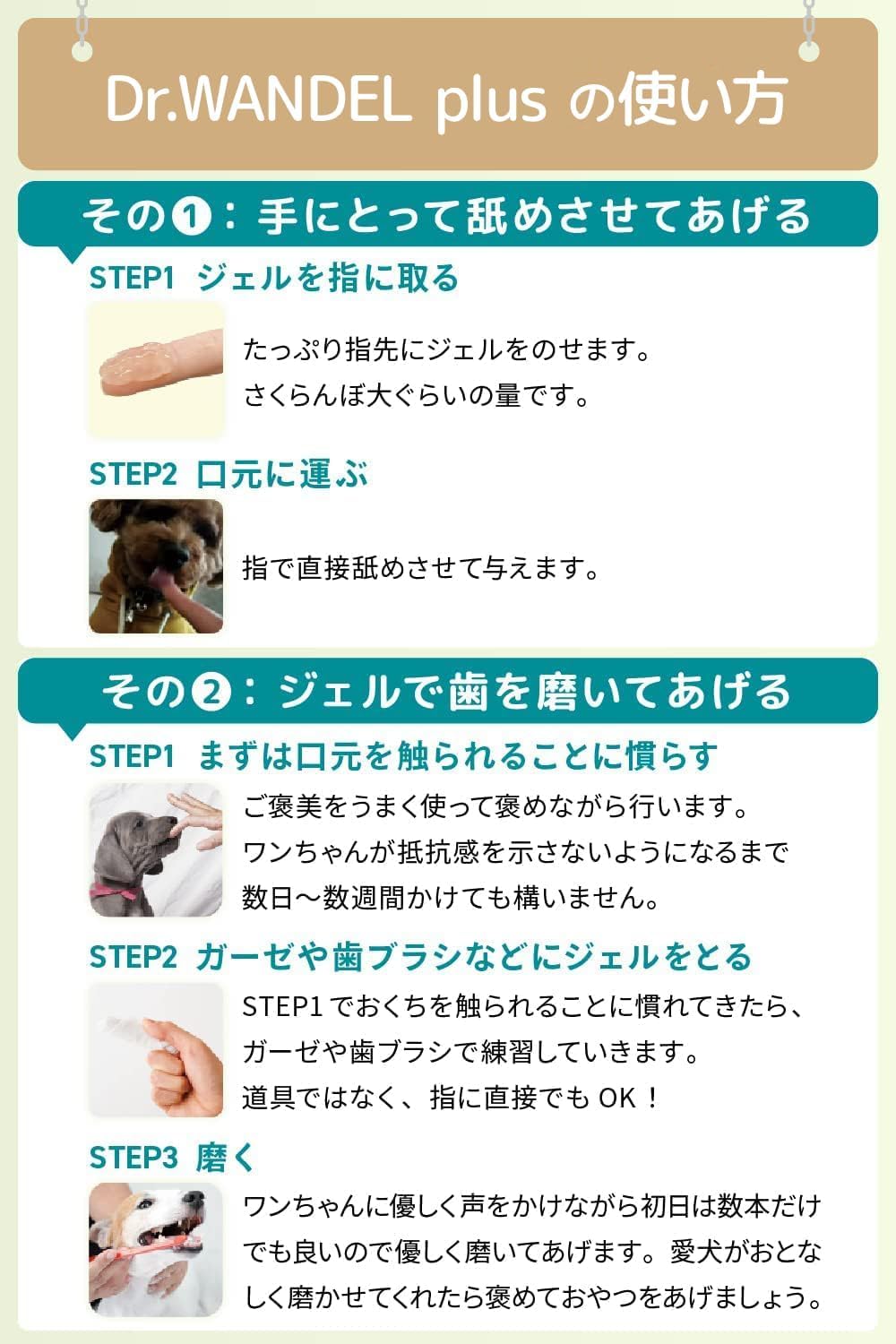 Amazon.co.jp: Dr.WANDEL plus ワンデルプラス 30gx1本 1ヵ月分